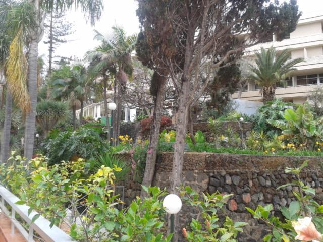 Tranquilo Apartamento Puerto De La Cruz Exteriör bild